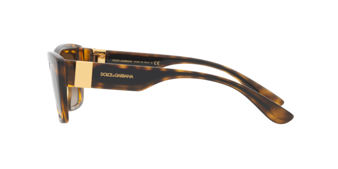 Dolce & Gabbana Sunglasses DG6171 330613