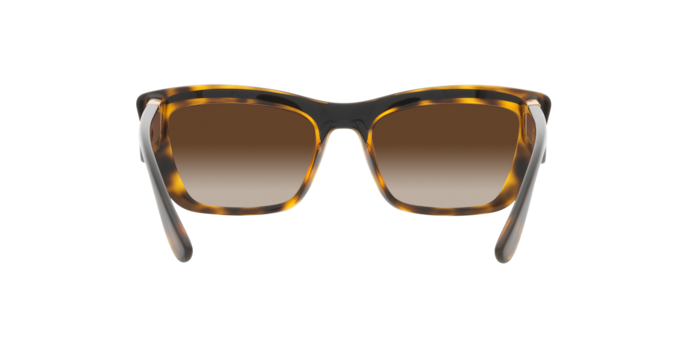 Dolce & Gabbana Sunglasses DG6171 330613