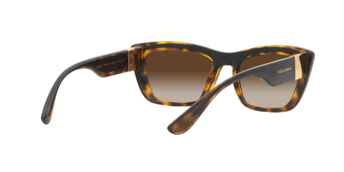 Dolce & Gabbana Sunglasses DG6171 330613