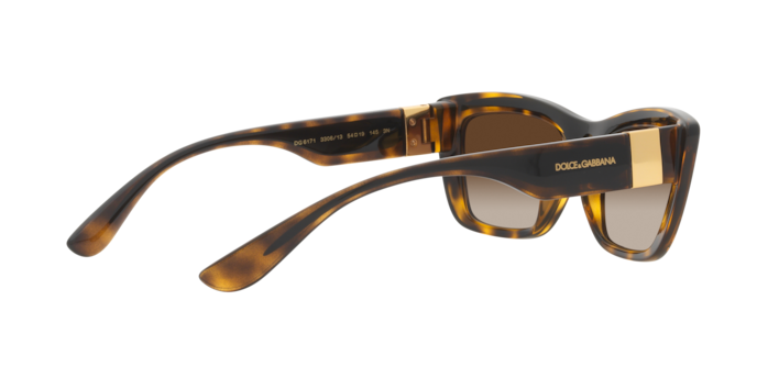 Dolce & Gabbana Sunglasses DG6171 330613