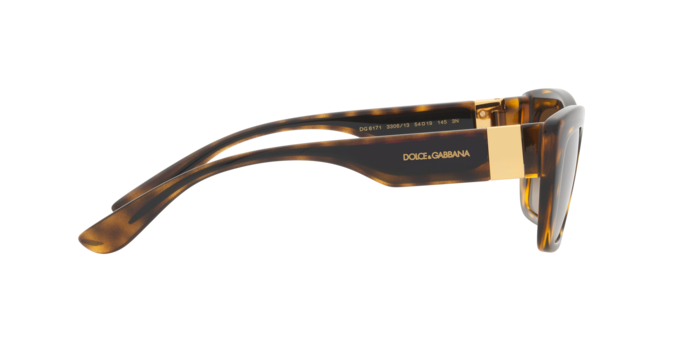 Dolce & Gabbana Sunglasses DG6171 330613