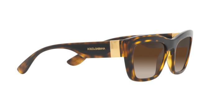 Dolce & Gabbana Sunglasses DG6171 330613