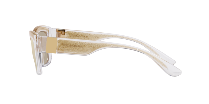 Dolce & Gabbana Sunglasses DG6171 3352V9