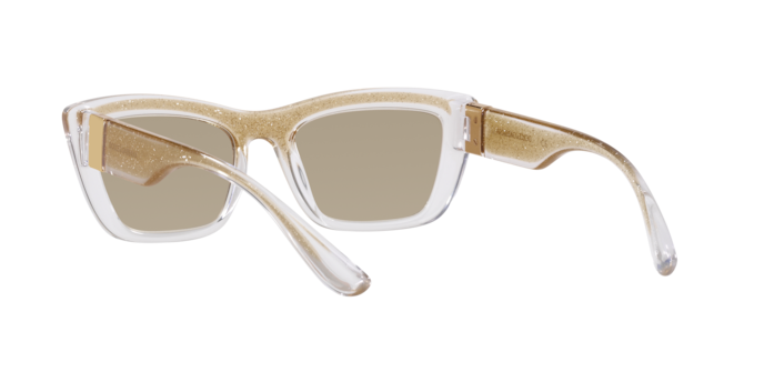 Dolce & Gabbana Sunglasses DG6171 3352V9
