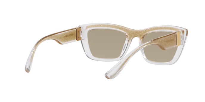 Dolce & Gabbana Sunglasses DG6171 3352V9