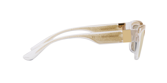 Dolce & Gabbana Sunglasses DG6171 3352V9