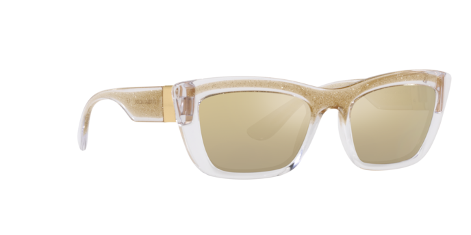 Dolce & Gabbana Sunglasses DG6171 3352V9