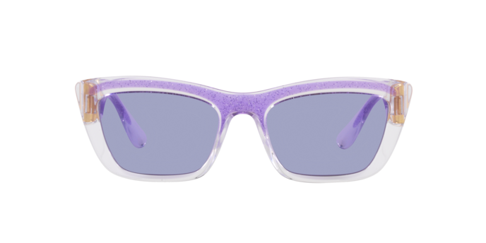 Dolce & Gabbana Sunglasses DG6171 33531A