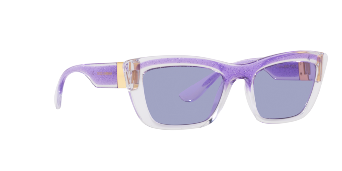 Dolce & Gabbana Sunglasses DG6171 33531A