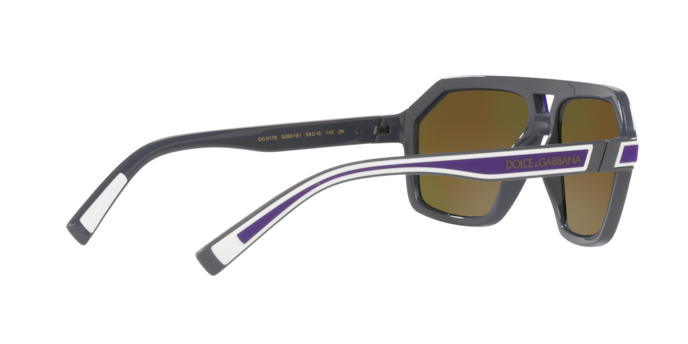 Dolce & Gabbana Sunglasses DG6176 3090B1