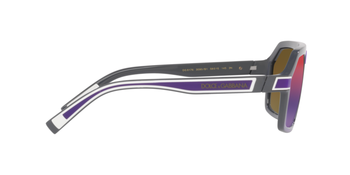 Dolce & Gabbana Sunglasses DG6176 3090B1