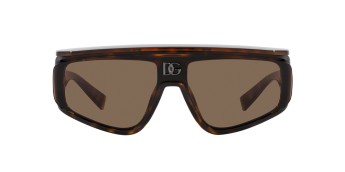 Dolce & Gabbana Sunglasses DG6177 502/73