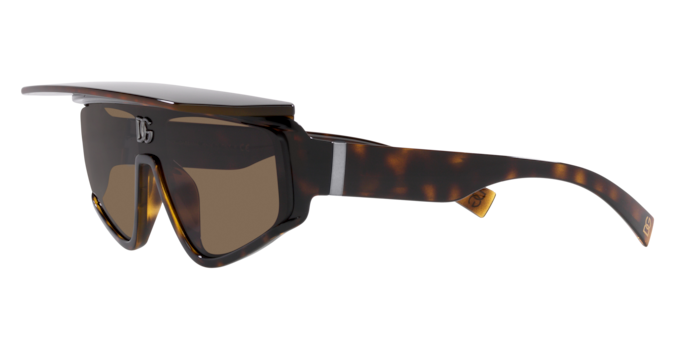 Dolce & Gabbana Sunglasses DG6177 502/73