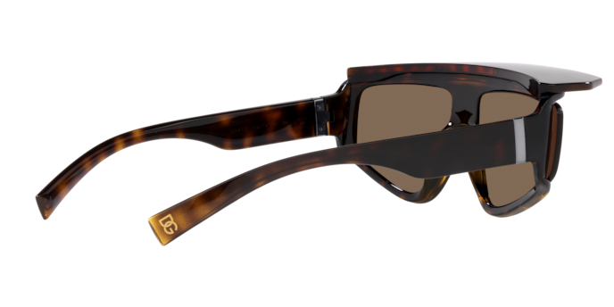 Dolce & Gabbana Sunglasses DG6177 502/73