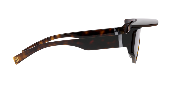 Dolce & Gabbana Sunglasses DG6177 502/73