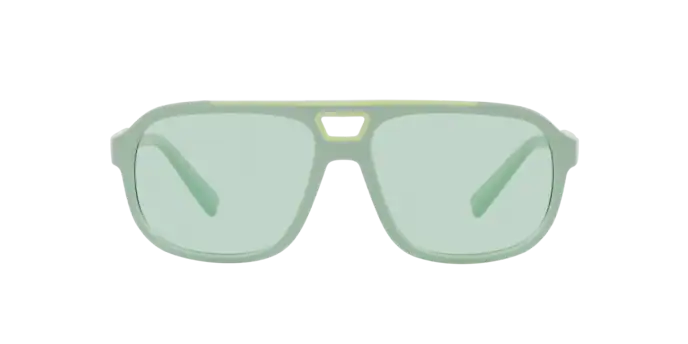 Dolce & Gabbana Sunglasses DG6179 3395M1