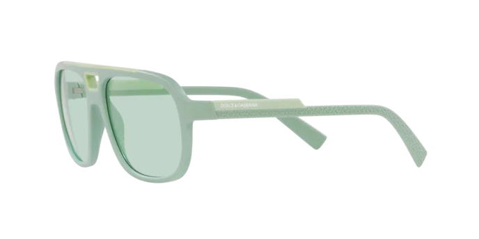 Dolce & Gabbana Sunglasses DG6179 3395M1