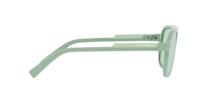 Dolce & Gabbana Sunglasses DG6179 3395M1