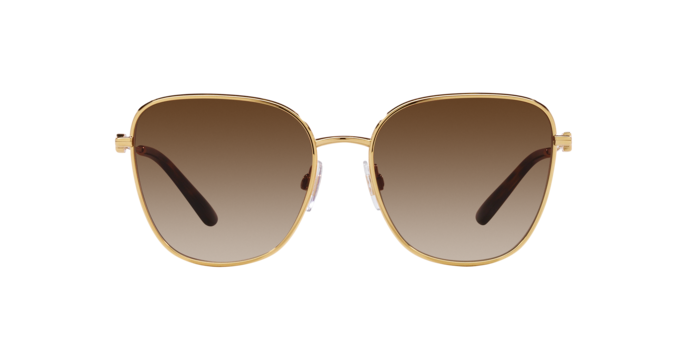 Dolce & Gabbana Sunglasses DG2293 02/13