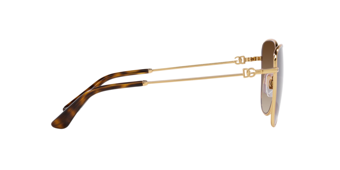 Dolce & Gabbana Sunglasses DG2293 02/13