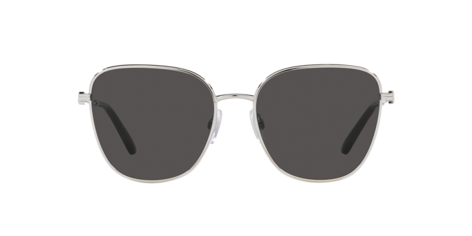 Dolce & Gabbana Sunglasses DG2293 05/87