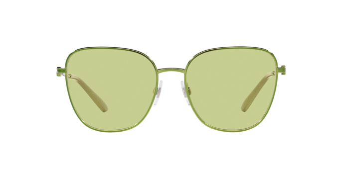 Dolce & Gabbana Sunglasses DG2293 1314/2