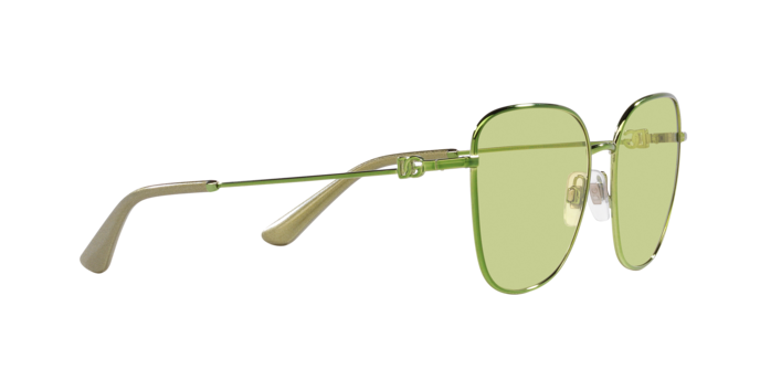 Dolce & Gabbana Sunglasses DG2293 1314/2