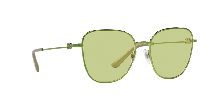 Dolce & Gabbana Sunglasses DG2293 1314/2