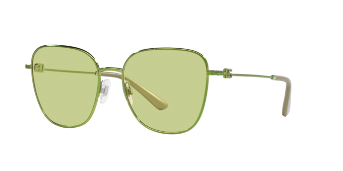 Dolce & Gabbana Sunglasses DG2293 1314/2