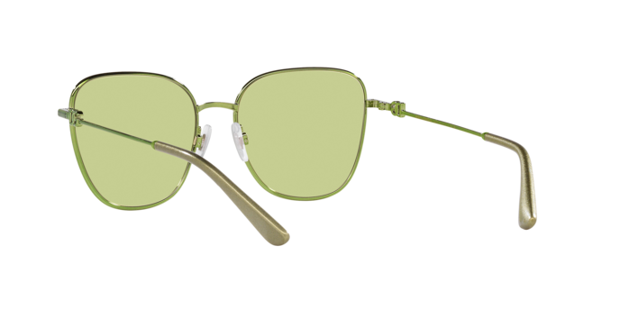 Dolce & Gabbana Sunglasses DG2293 1314/2