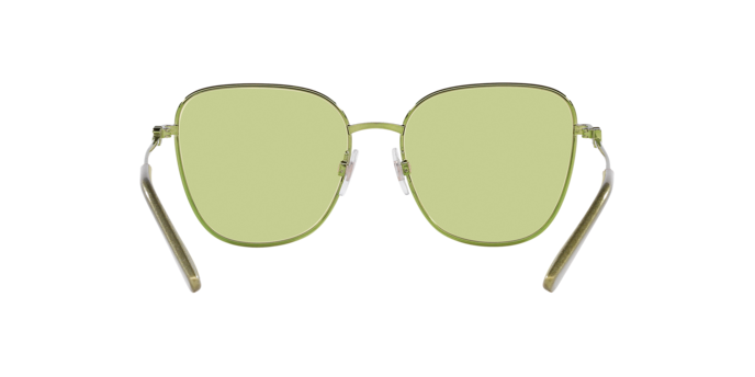 Dolce & Gabbana Sunglasses DG2293 1314/2