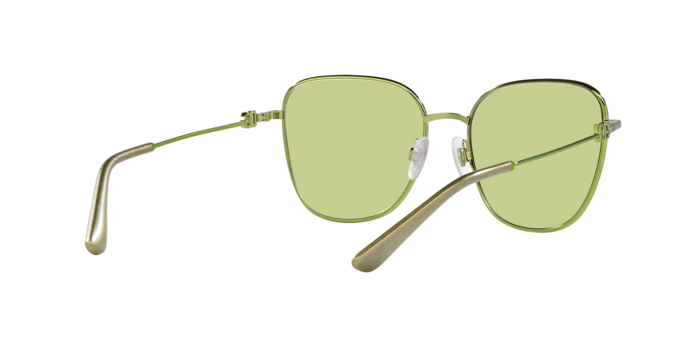 Dolce & Gabbana Sunglasses DG2293 1314/2