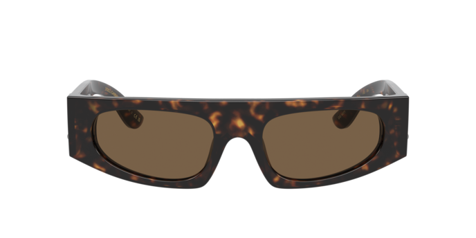 Dolce & Gabbana Sunglasses DG4411 502/73