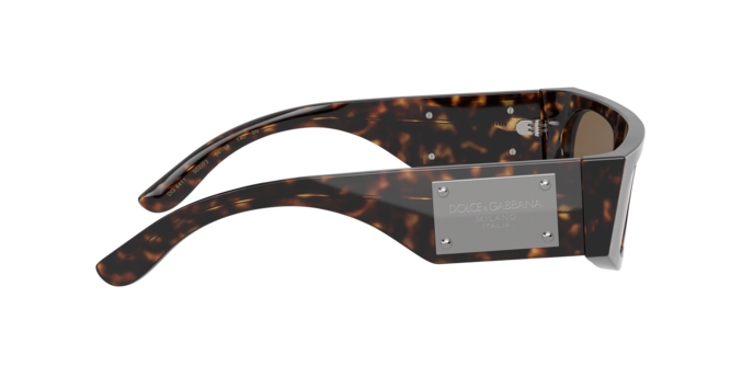 Dolce & Gabbana Sunglasses DG4411 502/73