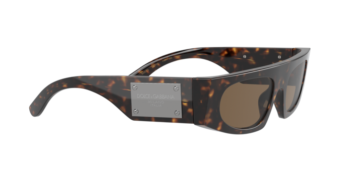 Dolce & Gabbana Sunglasses DG4411 502/73