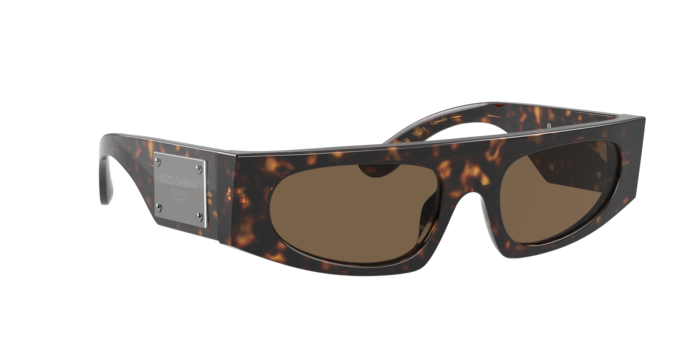 Dolce & Gabbana Sunglasses DG4411 502/73