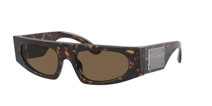 Dolce & Gabbana Sunglasses DG4411 502/73