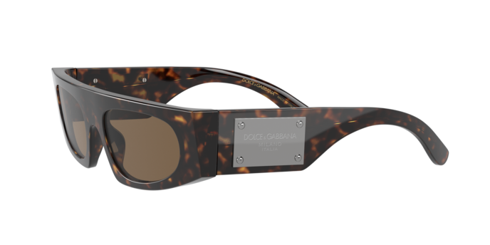 Dolce & Gabbana Sunglasses DG4411 502/73