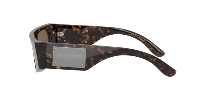 Dolce & Gabbana Sunglasses DG4411 502/73