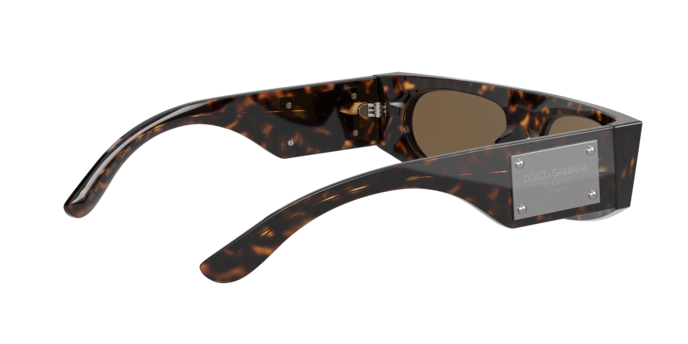 Dolce & Gabbana Sunglasses DG4411 502/73