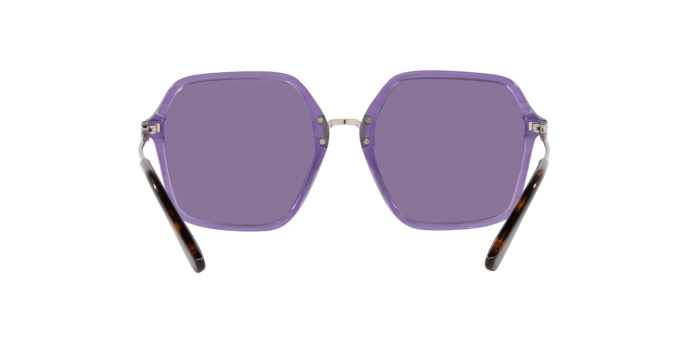 Dolce & Gabbana Sunglasses DG4422 34071A