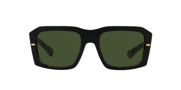 Dolce & Gabbana Sunglasses DG4430 340471