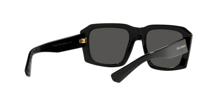 Dolce & Gabbana Sunglasses DG4430 501/87