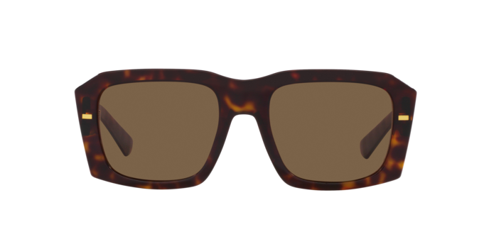 Dolce & Gabbana Sunglasses DG4430 502/73