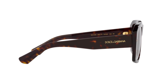 Dolce & Gabbana Sunglasses DG4430 502/73