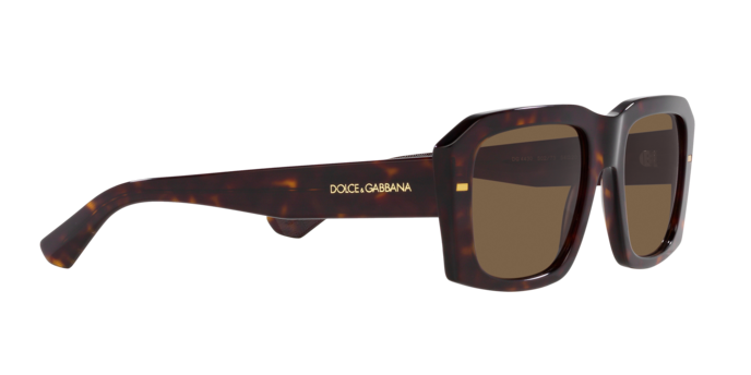 Dolce & Gabbana Sunglasses DG4430 502/73