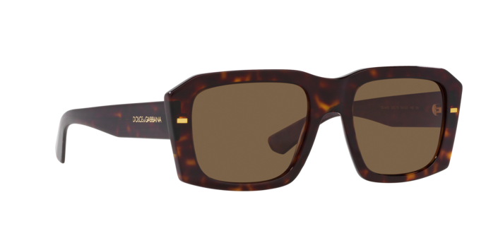 Dolce & Gabbana Sunglasses DG4430 502/73