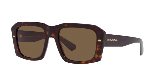 Dolce & Gabbana Sunglasses DG4430 502/73