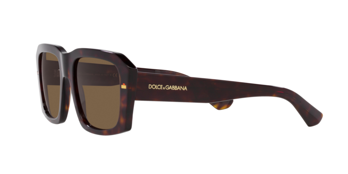 Dolce & Gabbana Sunglasses DG4430 502/73