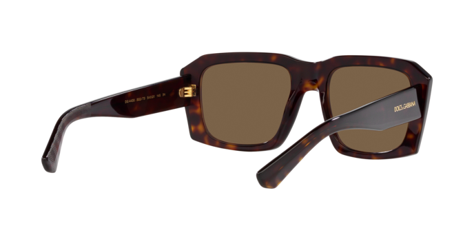 Dolce & Gabbana Sunglasses DG4430 502/73